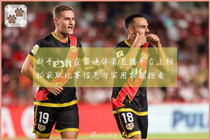 新手如何在雷速体育直播平台上轻松获取比赛信息与实用功能指南